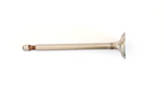 Valvula de Escape para Motor Honda 5 HP (Cod JLC 80-52-703)
